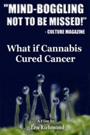 What If Cannabis Cured Cancer 2010 one on netflix