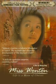 Miss Wonton 2002 one on netflix