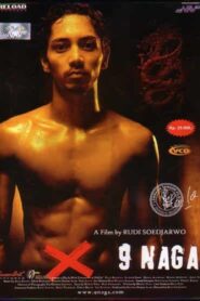 The Nine Dragon 2006 one on netflix