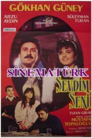 Sevdim Seni 1987 one on netflix
