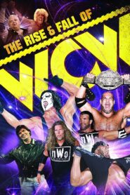 The Rise & Fall of WCW 2009 one on netflix
