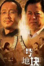 Block 8 2008 one on netflix
