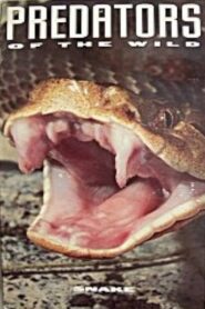 Predators of the Wild: Snake 1993 one on netflix