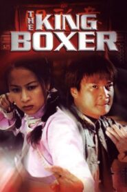 The King Boxer 2000 one on netflix