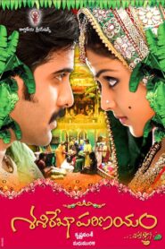Sasirekha Parinayam 2009 one on netflix