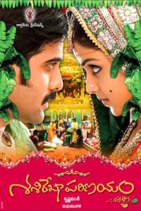 Sasirekha Parinayam 2009 one on netflix