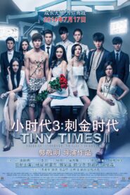 Tiny Times 3 2014 one on netflix
