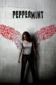 Peppermint 2018 one on netflix
