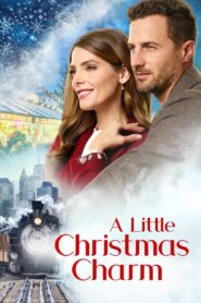 A Little Christmas Charm 2020 one on netflix