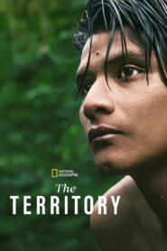 The Territory 2022 one on netflix