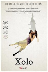 Xolo 2017 one on netflix