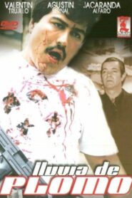 Lluvia de plomo 1998 one on netflix