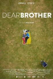 Dear Brother 2019 one on netflix