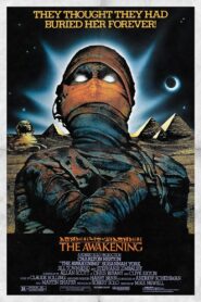 The Awakening 1980 one on netflix