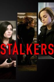Stalkers 2013 one on netflix