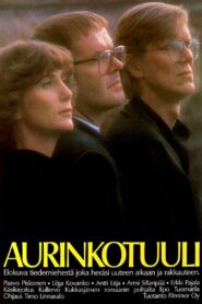Aurinkotuuli 1980 one on netflix
