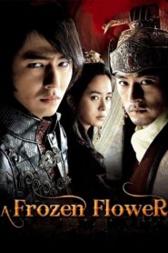 A Frozen Flower 2008 one on netflix