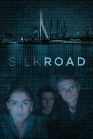 Silk Road 2017 one on netflix