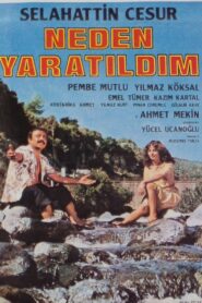 Neden Yaratıldım 1983 one on netflix