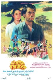 ประกาศิตจากหัวใจ 1981 one on netflix