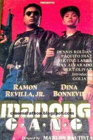 Manong Gang 1991 one on netflix