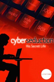 Cyber Seduction: His Secret Life 2005 one on netflix