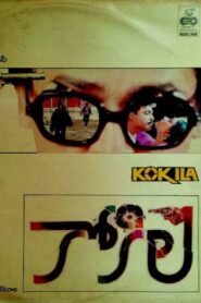 Kokila 1990 one on netflix