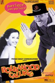 Bollywood Calling 2001 one on netflix