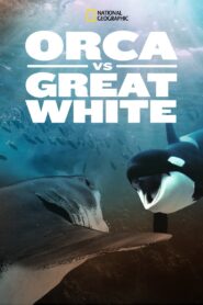Orca Vs. Great White 2021 one on netflix