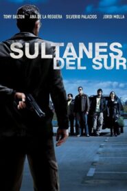 Sultans of the South 2007 one on netflix