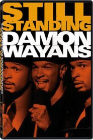 Damon Wayans: Still Standing 1997 one on netflix