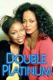 Double Platinum 1999 one on netflix
