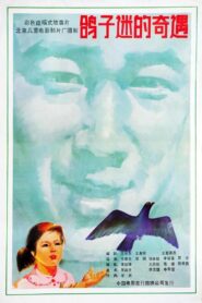 鸽子迷的奇遇 1987 one on netflix