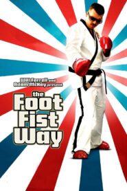The Foot Fist Way 2006 one on netflix