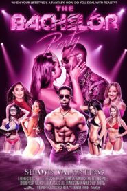 The Bachelor Party 2018 one on netflix