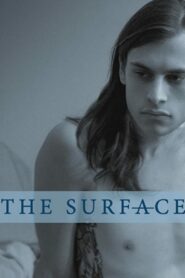 The Surface 2015 one on netflix