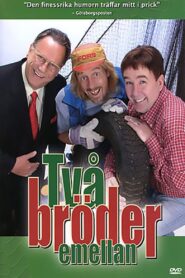 Två bröder emellan 2005 one on netflix
