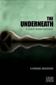 The Underneath 2006 one on netflix