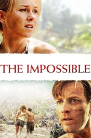 The Impossible 2012 one on netflix