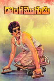 Donga Mogudu 1987 one on netflix