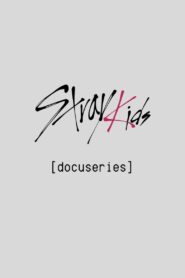 [Stray Kids: Festival Docuseries] 2024 one on netflix