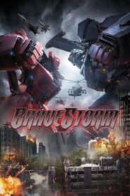 BraveStorm 2017 one on netflix