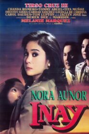 Inay 1993 one on netflix