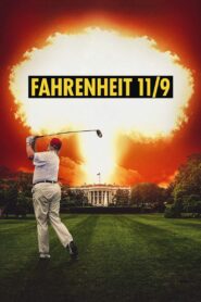 Fahrenheit 11/9 2018 one on netflix