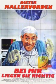 Bei mir liegen Sie richtig 1990 one on netflix