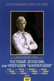 Private Detective, or Operation Cooperation 1989 one on netflix