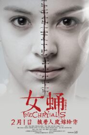 The Chrysalis 2012 one on netflix