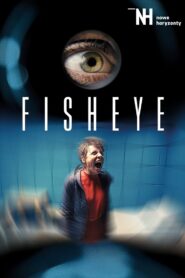 Fisheye 2020 one on netflix