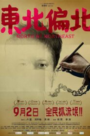 North by Northeast 2014 one on netflix