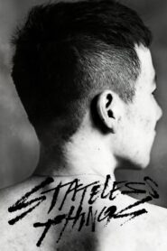 Stateless Things 2012 one on netflix